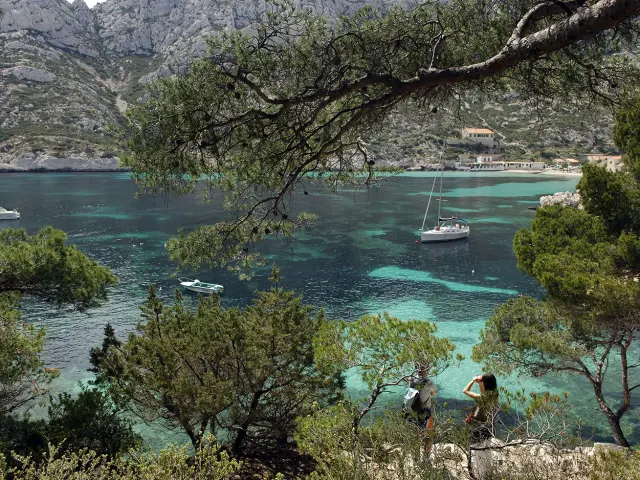 Calanque de Sormiou in Marseille, sailboat on the water, view of the rocks behind pine branches