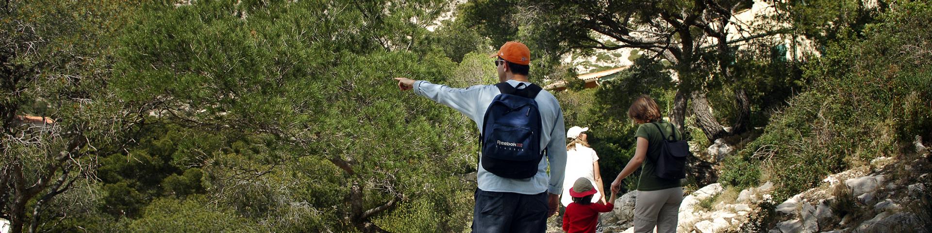 Promeneurs en famille sur le sentier des Calanques, entourés de pins