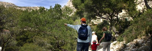 Promeneurs en famille sur le sentier des Calanques, entourés de pins