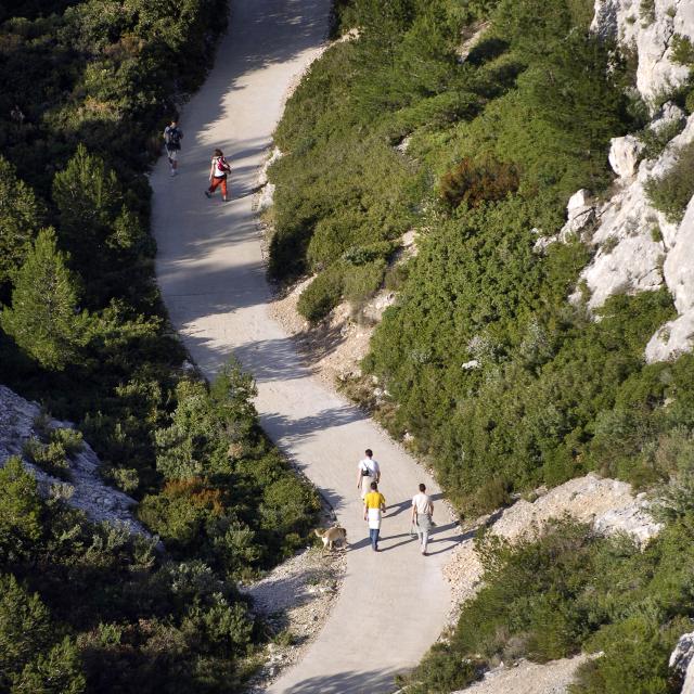 Chemin de randonnée dans les Calanques, promeneurs