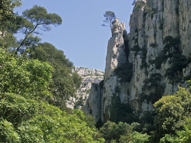 Randonnée dans les Calanques de Marseille, Randonneurs sur le chemin d'accès Calanque d'En Vau entourés de nature et de falaises
