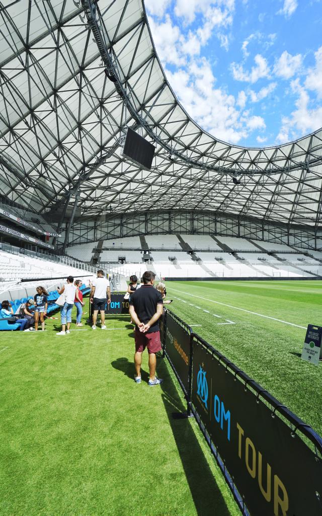 Visite du stade Orange Vélodrome, pelouse