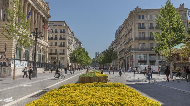 La Canebière Marseille, fleurs jaunes