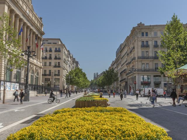 La Canebière Marseille, fleurs jaunes