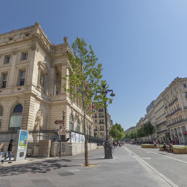 La Canebière et Chambre de Commerce et d'industrie de Marseille