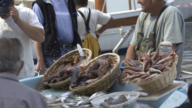 Poissonier sur le marché aux poissons du Vieux-Port à Marseille
