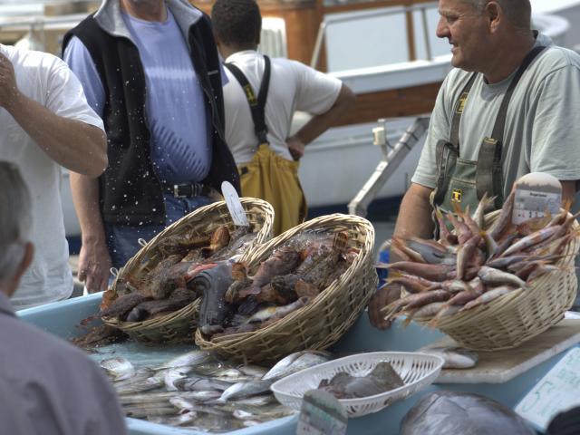 Poissonier sur le marché aux poissons du Vieux-Port à Marseille