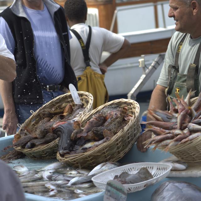 Poissonier sur le marché aux poissons du Vieux-Port à Marseille