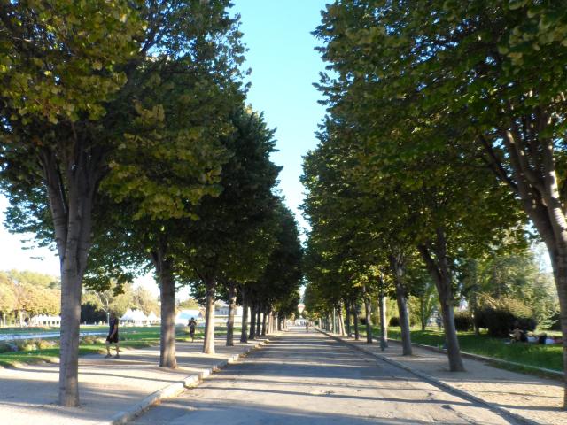 Parc Borely à Marseille allée principale du parc