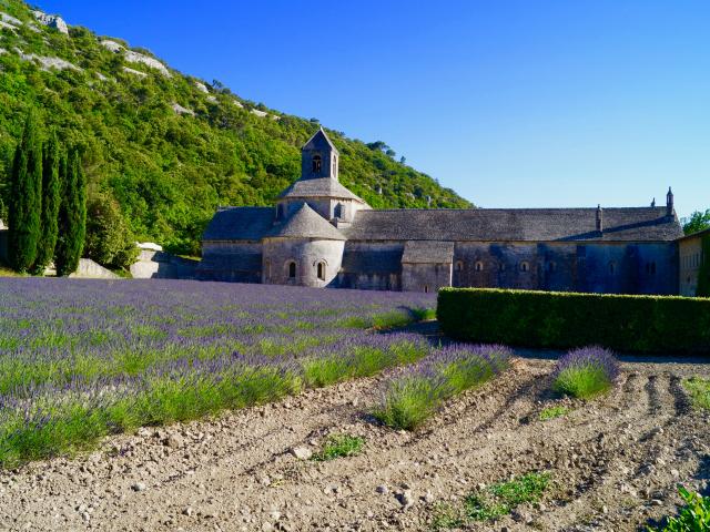 Provence@unsplash