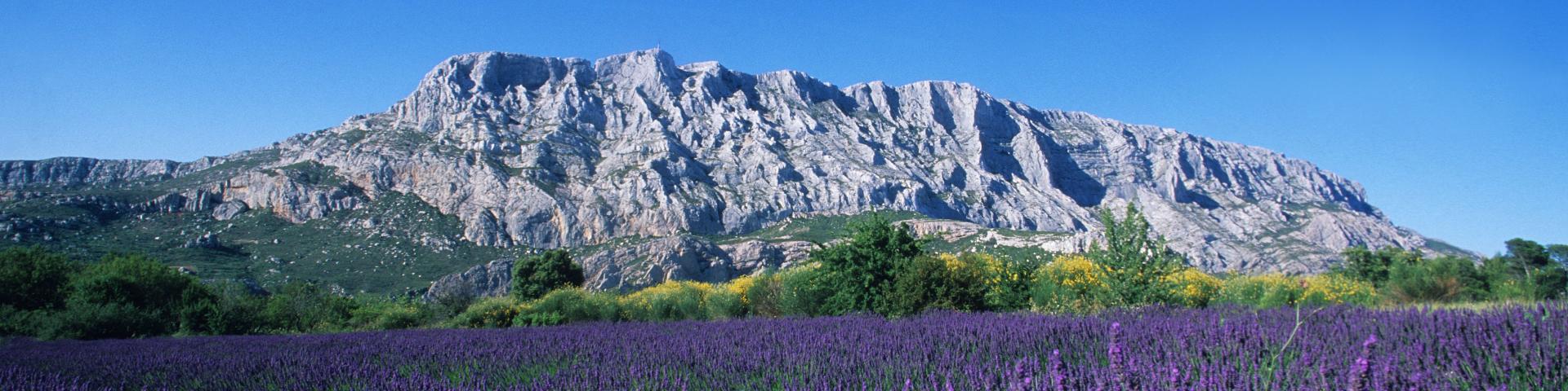 Journée en Provence, champs de Lavandes et Sainte Victoire