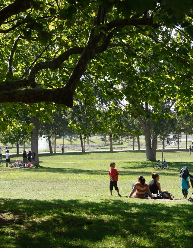 Famille assises sur l'herbe et sous les arbres dans le parc Borely à Marseille