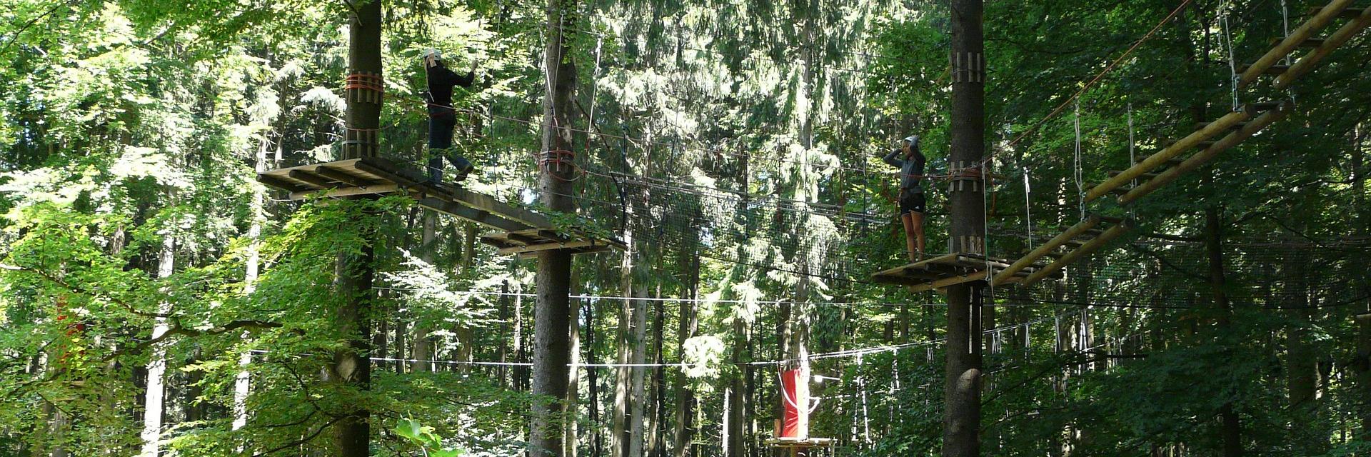 accrobranche à Marseille