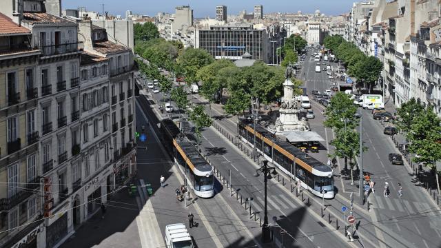 Tramways qui circulent sur la canebière