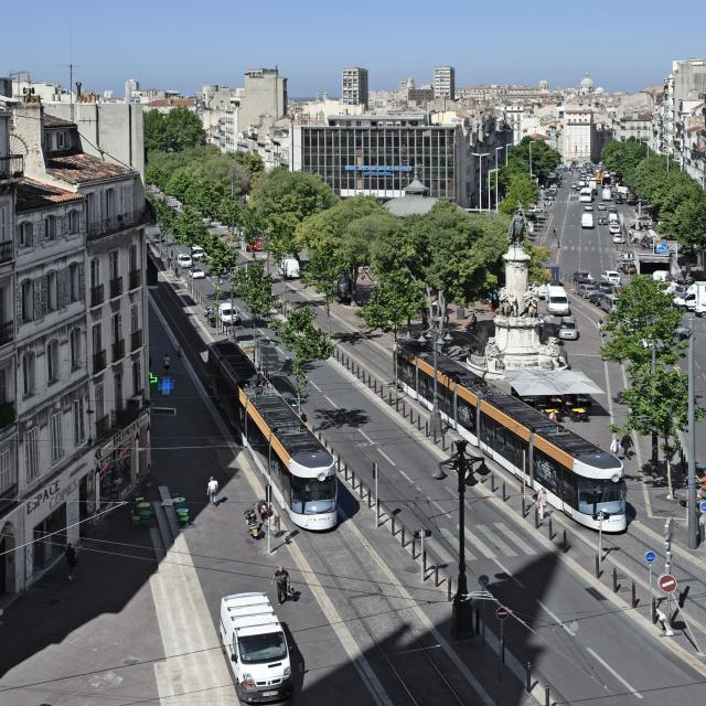 Tramways qui circulent sur la canebière