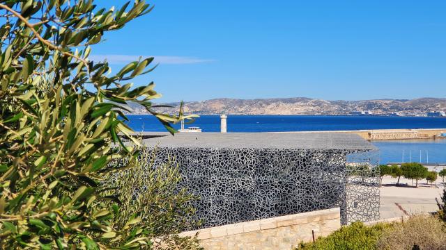 Vue sur le Mucem et rade de Marseille en fond