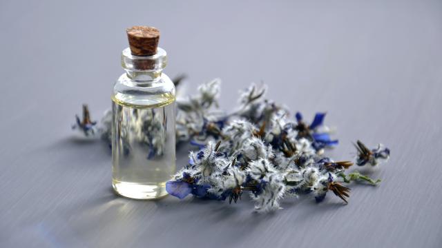 Fiole de parfum et plantes Médicinales