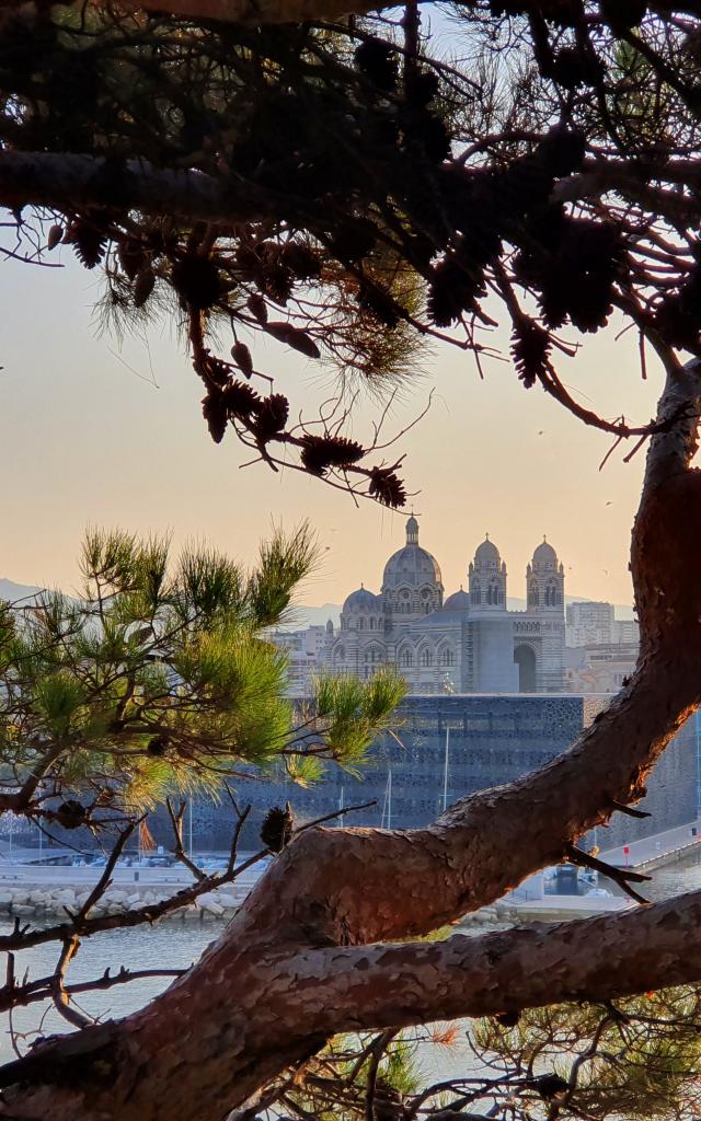 Cathédrale De La Major, Mucem, Vue Du Pharo3@jootcm