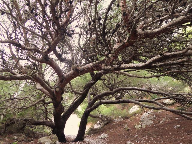 calanque-de-la-mounine-hkotcm-3.jpg