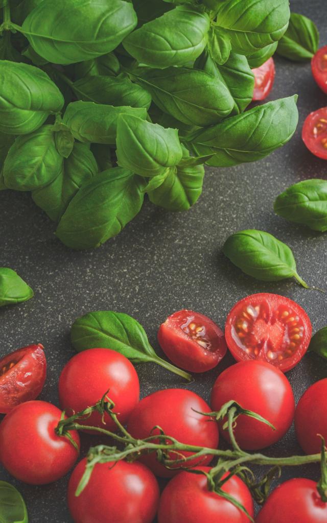 Basilic et tomates cerises sur une table