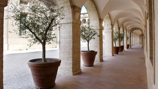 arcades de la vieille charité