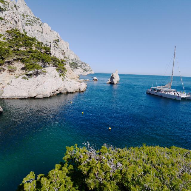 Catamaran dans les calanques