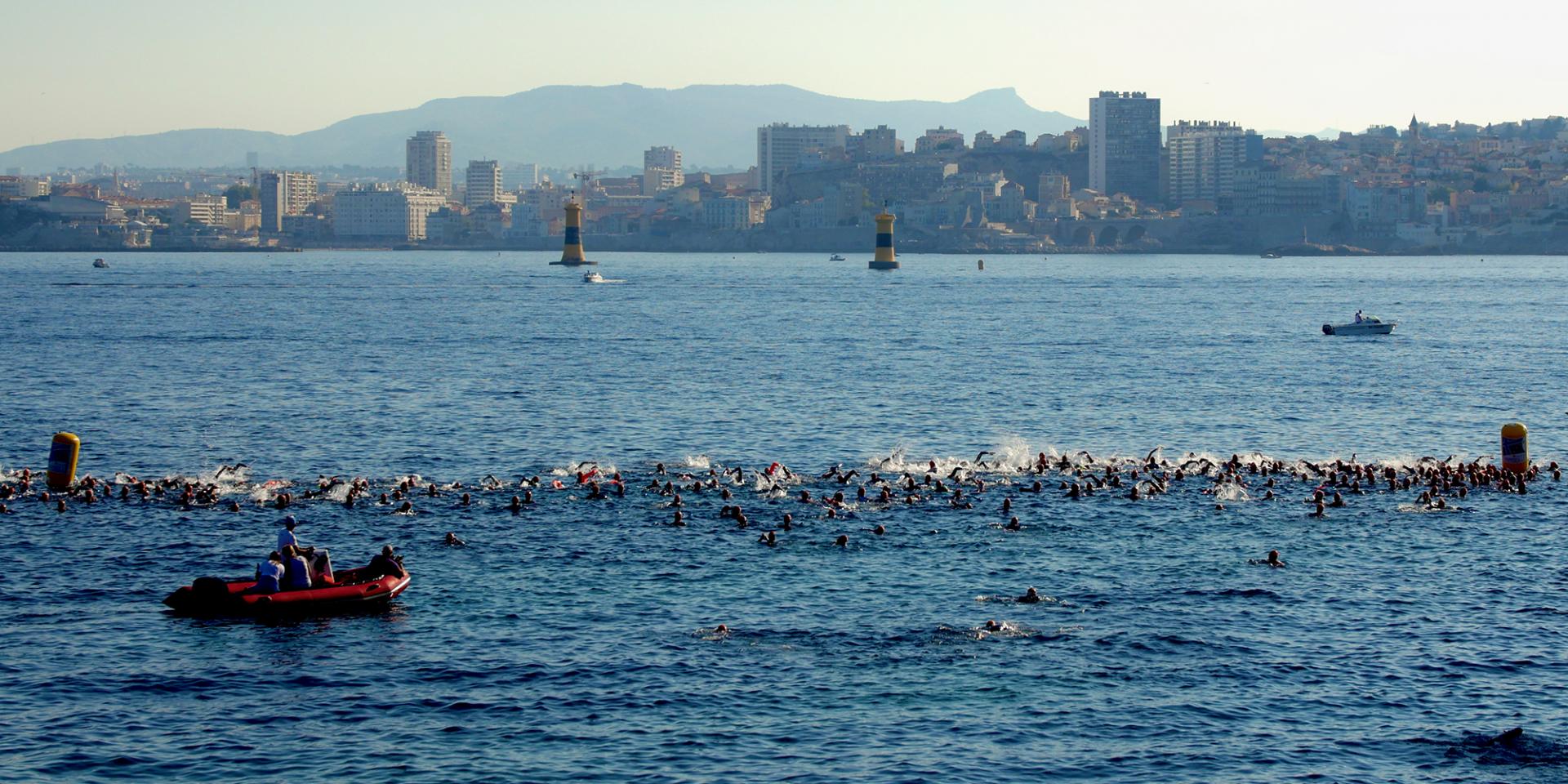 Nageurs dans la rade de Marseille
