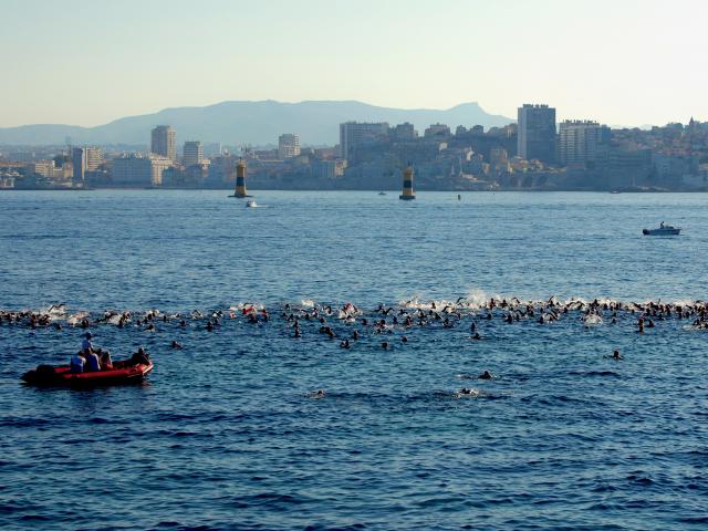 Nageurs dans la rade de Marseille
