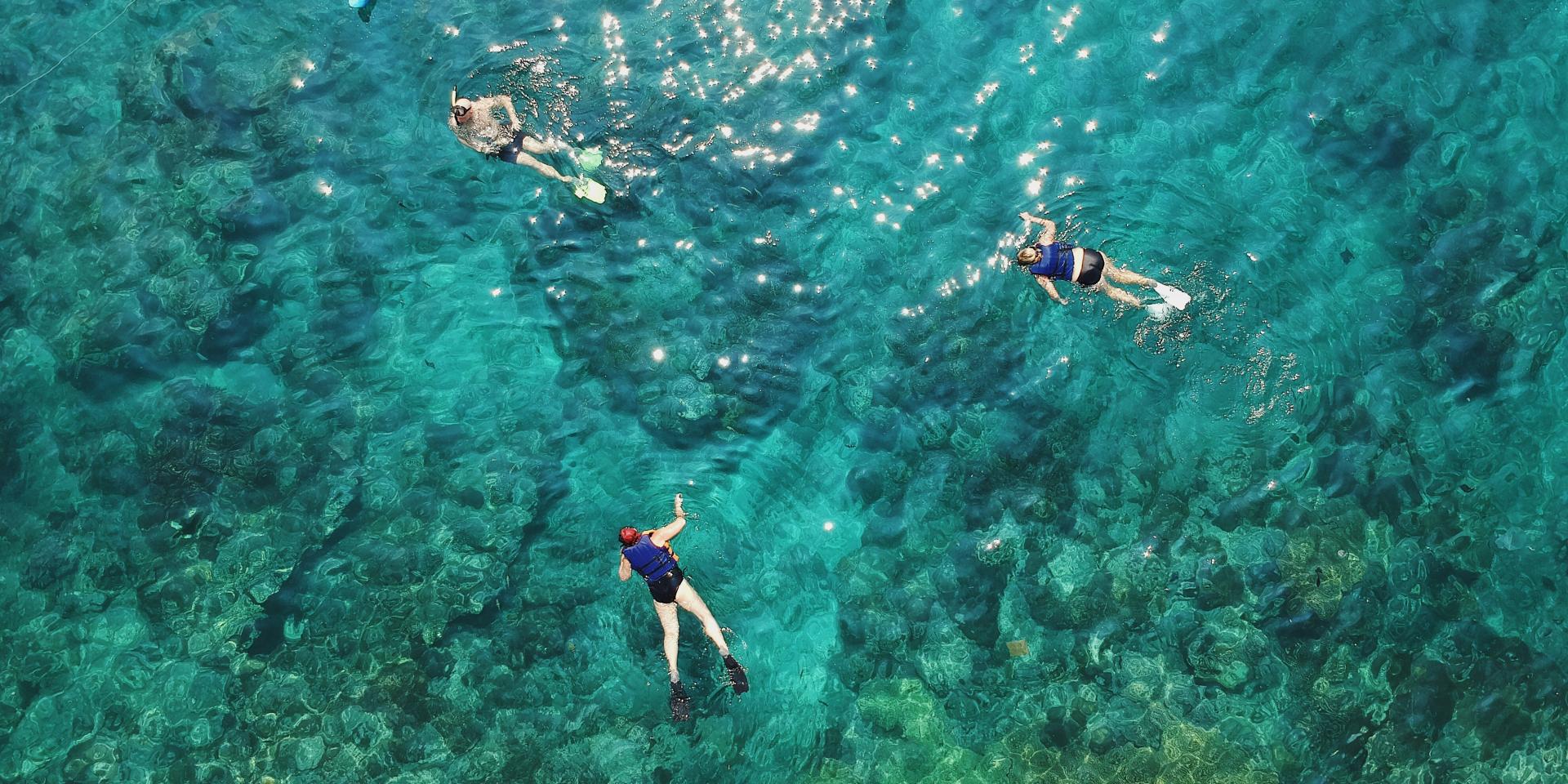 Personnes qui font du snorkeling