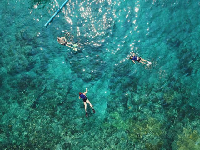 Personnes qui font du snorkeling