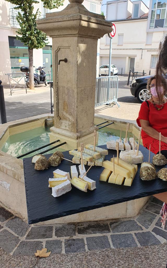 Dégustation de fromage près d'une fontaine à Mazargues