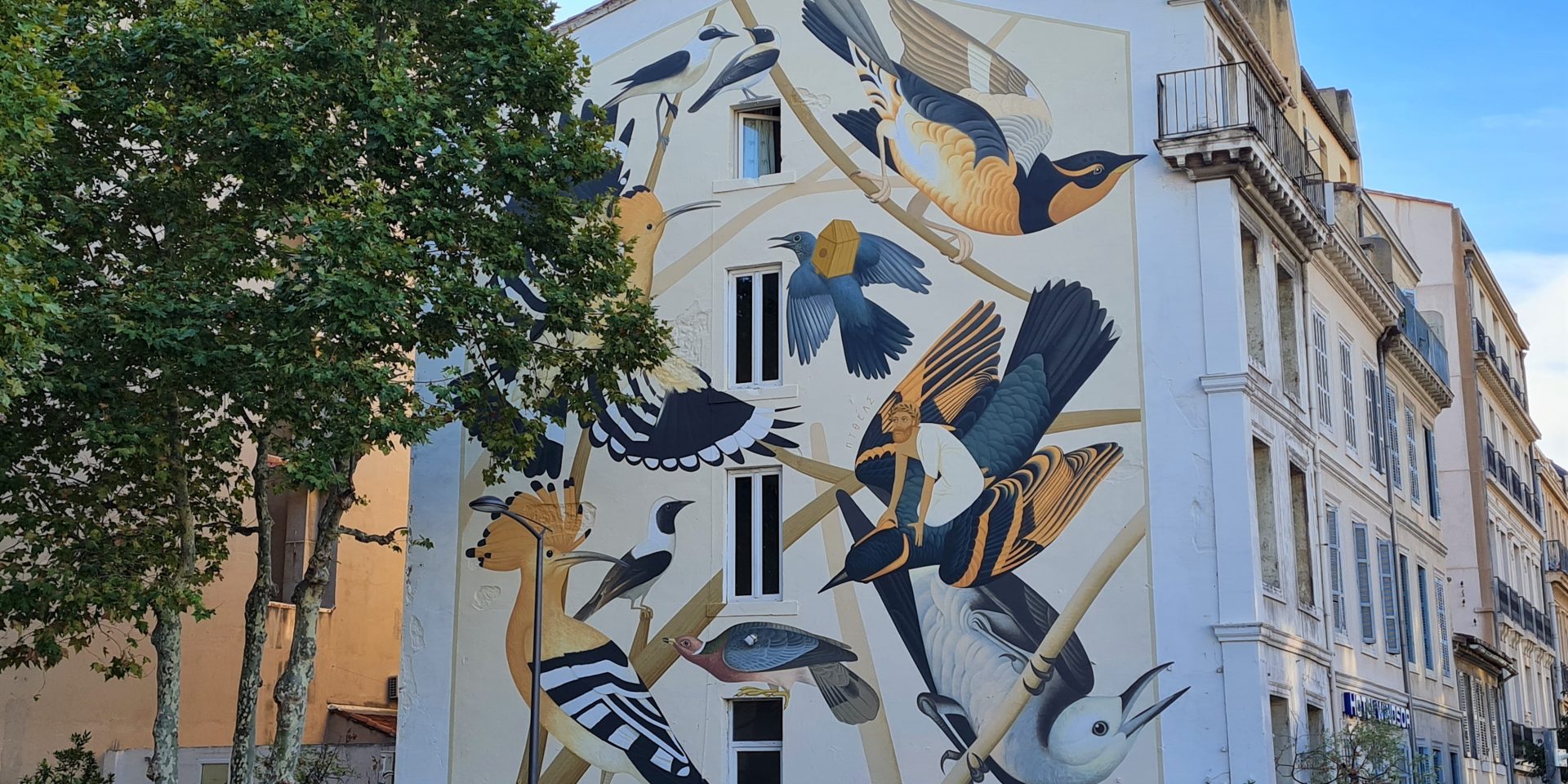 fresque à la gare saint-Charles, oiseaux colorés