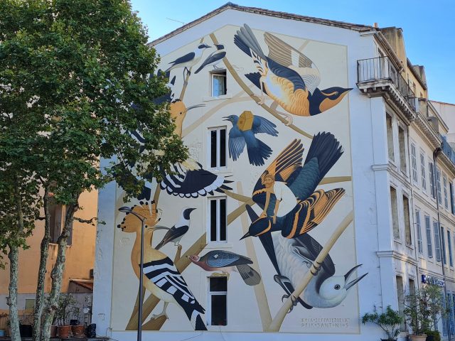 fresque à la gare saint-Charles, oiseaux colorés