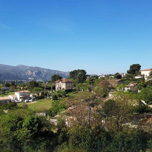 Vue Treille @provencebuissonière