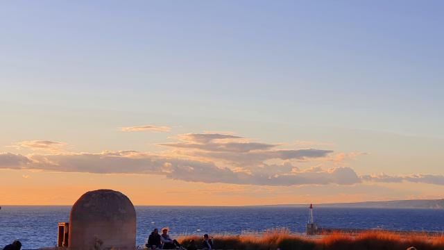 Coucher de soleil dans les jardins du mucem