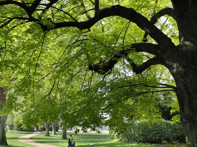 Parc Borely