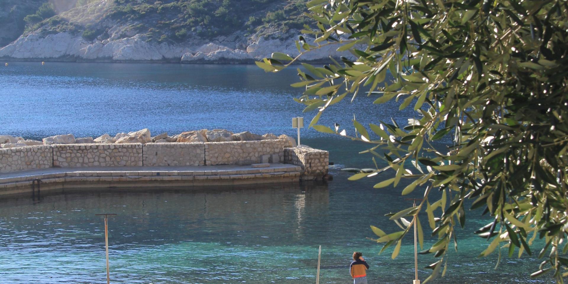 Petit port de Sormiou