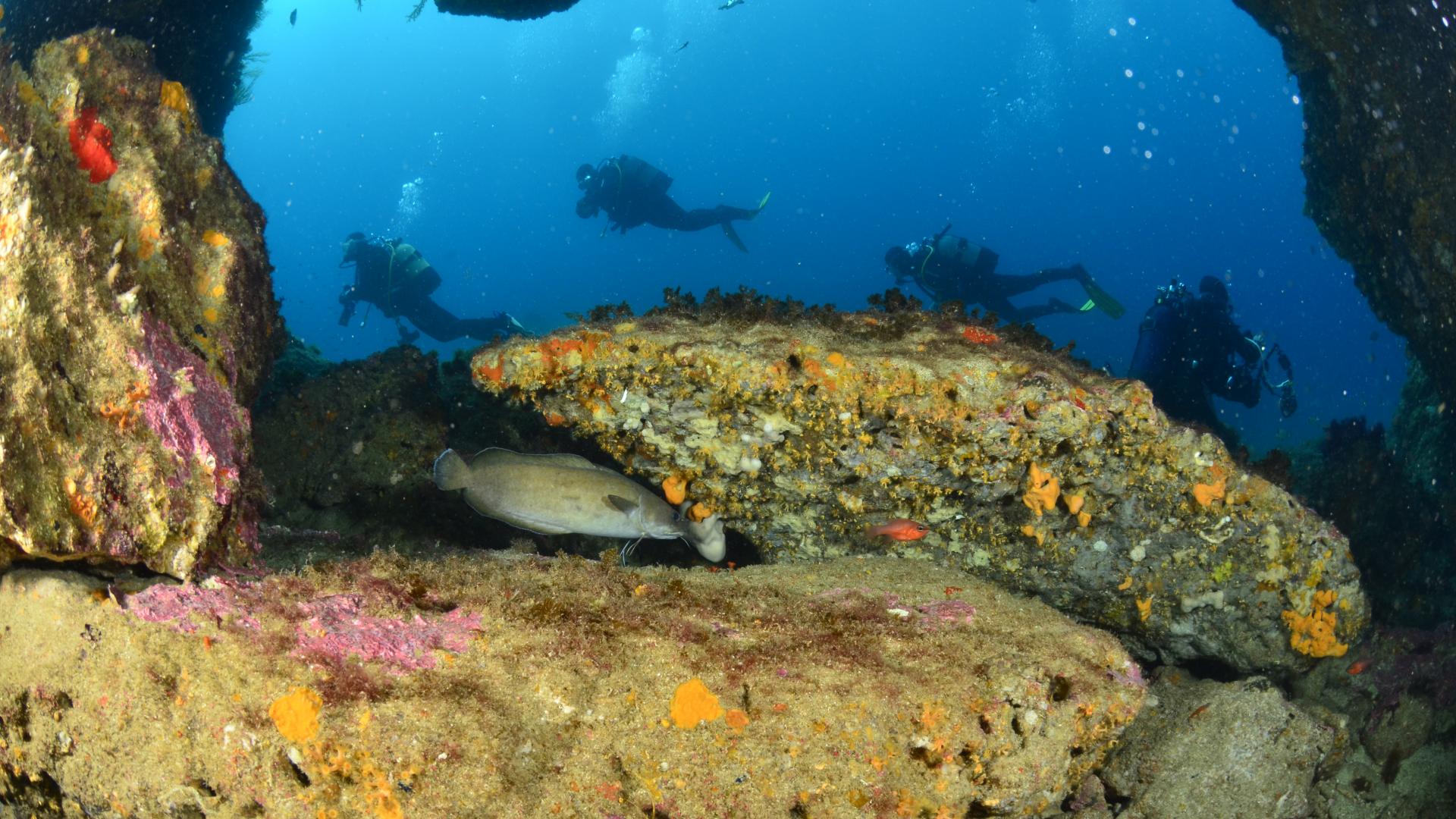 La Plongée à Marseille | Site Officiel De L’Office De Tourisme De Marseille