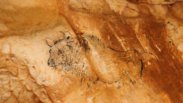 cosquer cave paintings