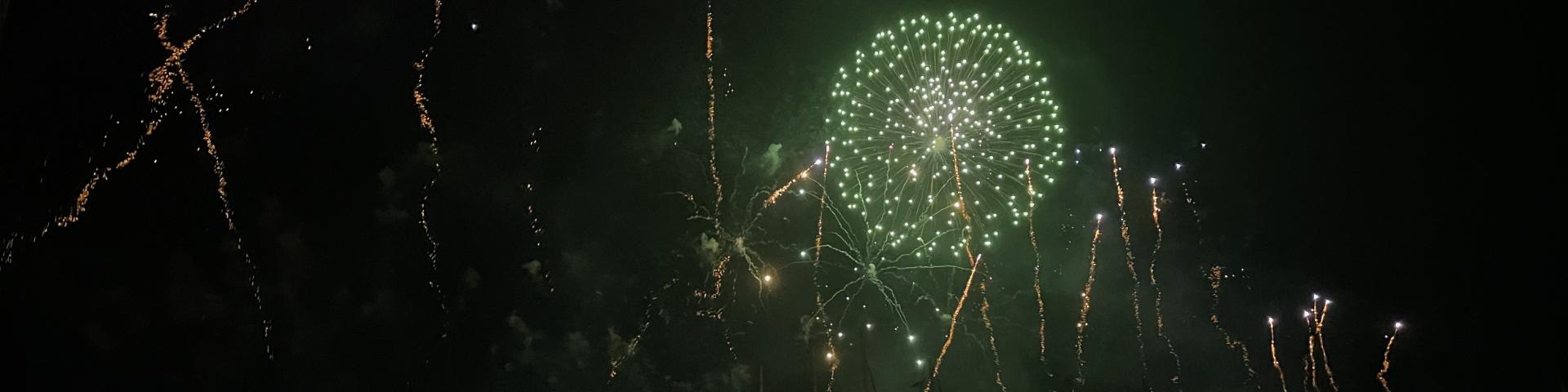 Feu D'artifice sur le vieux port