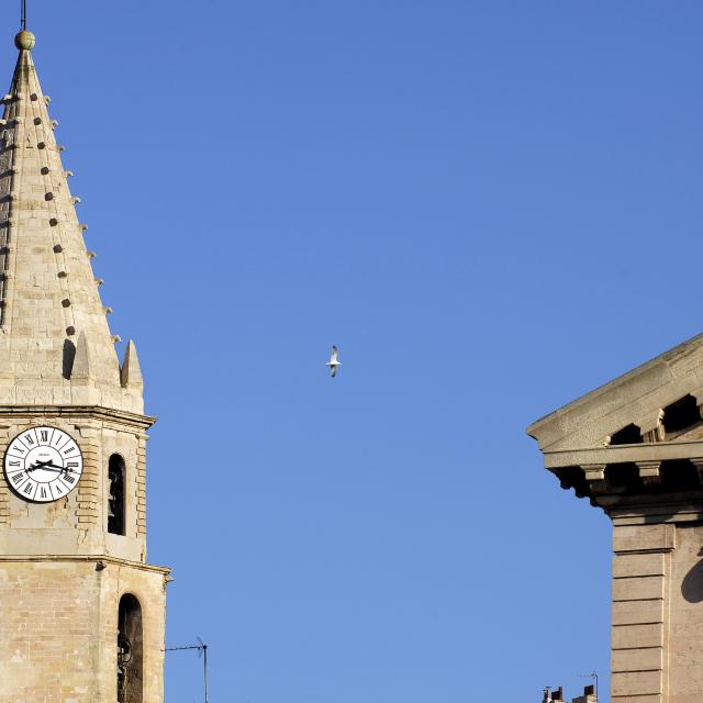 Panier, clocher des Accoules