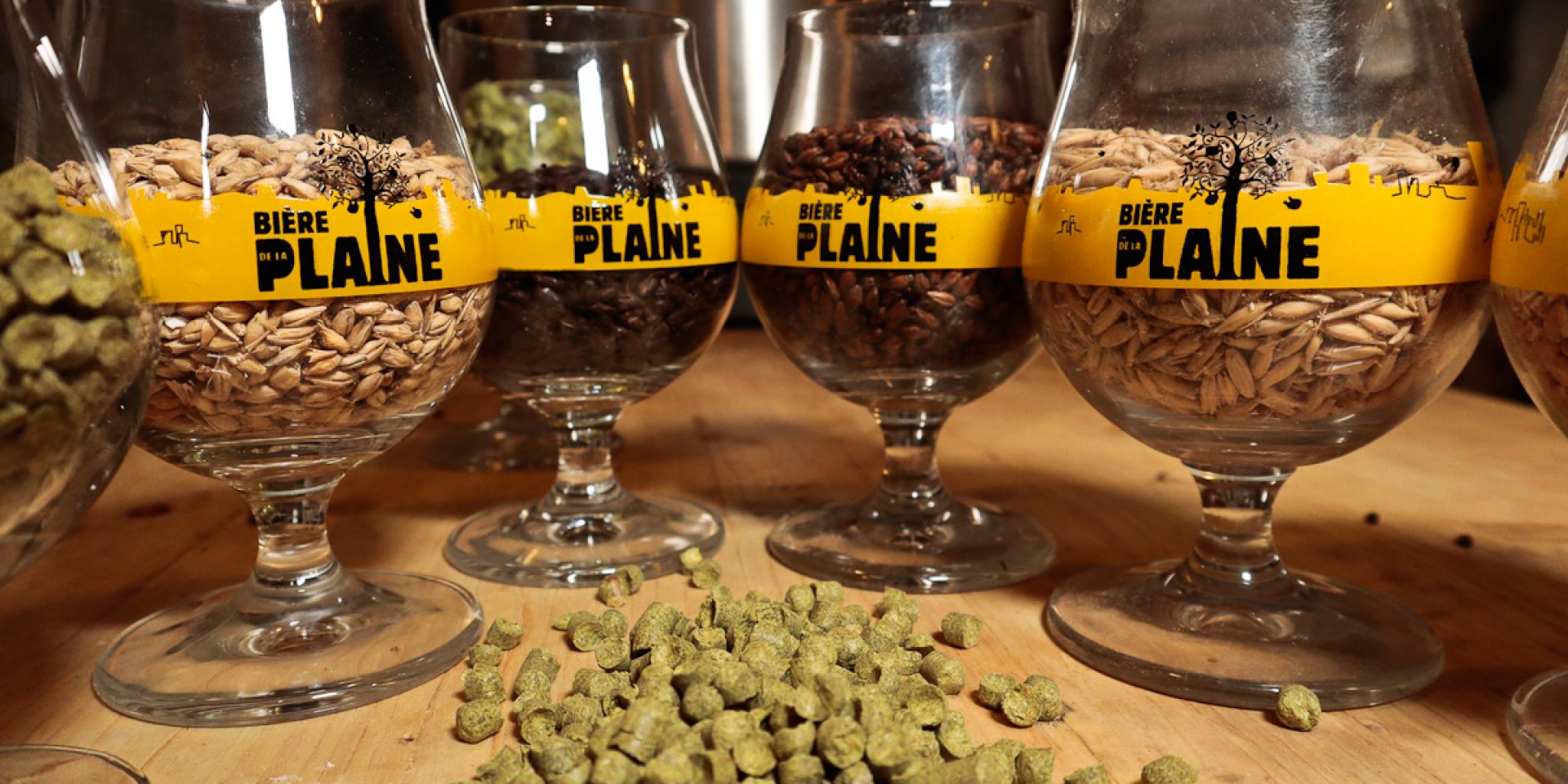 Malts©biere De La Plaine