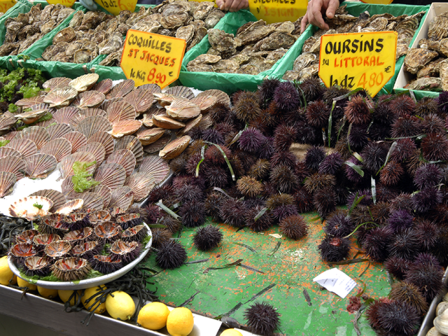 Coquillages et oursins au marché aux poissons