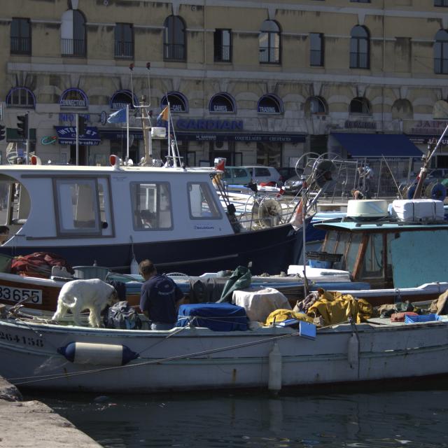 Marché Aux Poissons