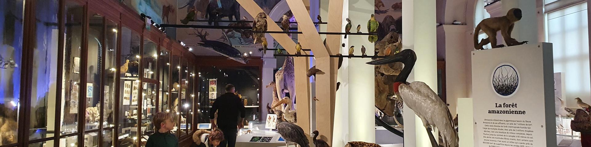 Museum D'histoire Naturelle au palais longchamp