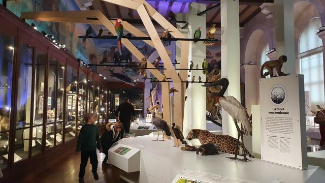 Palais-Longchamp-Museum-dHistoire-Naturelle-©joOTCM-21.jpg
