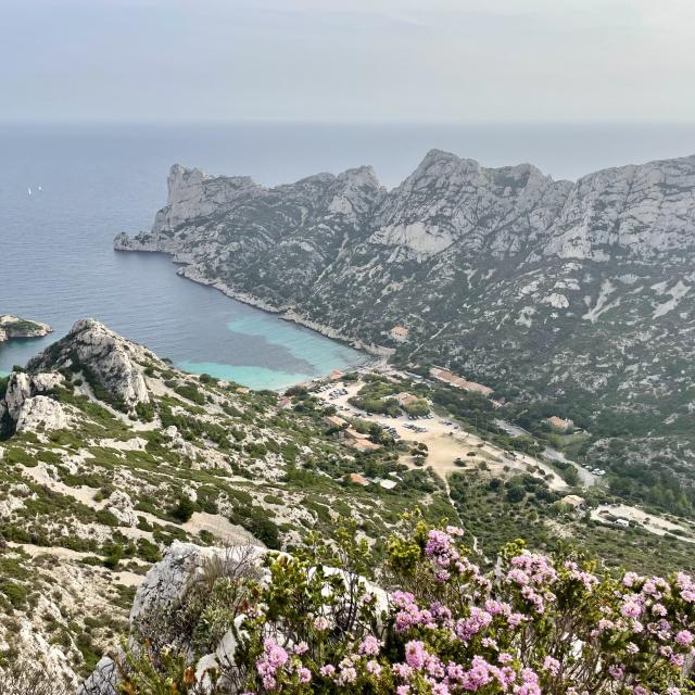 Calanque De Sormiou fleurie