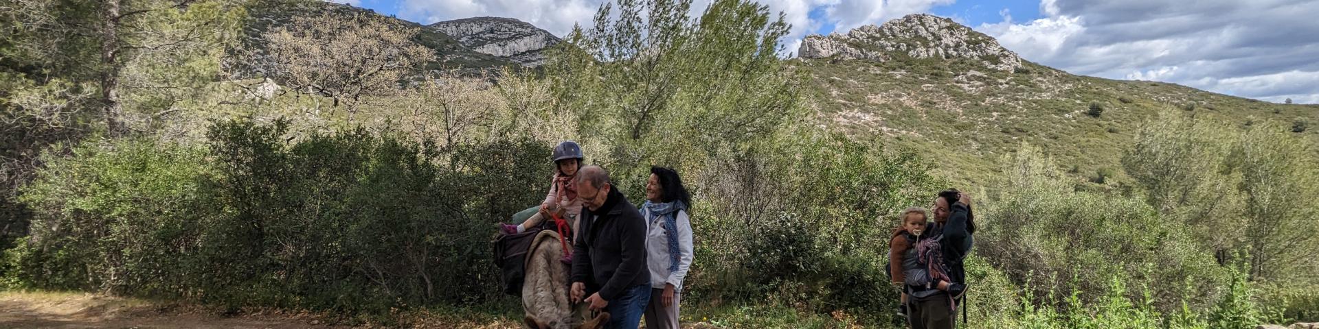 groupe de promeneurs au Garlaban, quartier des Camoins