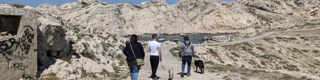 Marseille with a dog, Friuli©hkOMTCM (4)