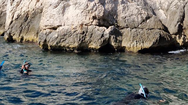 Snorkeling au Cap Caveau